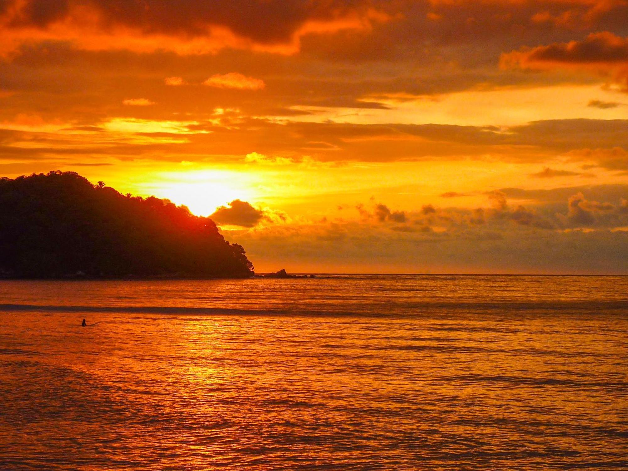 Stunning Brand New 1br In Paradise! W Pool! Sayulita