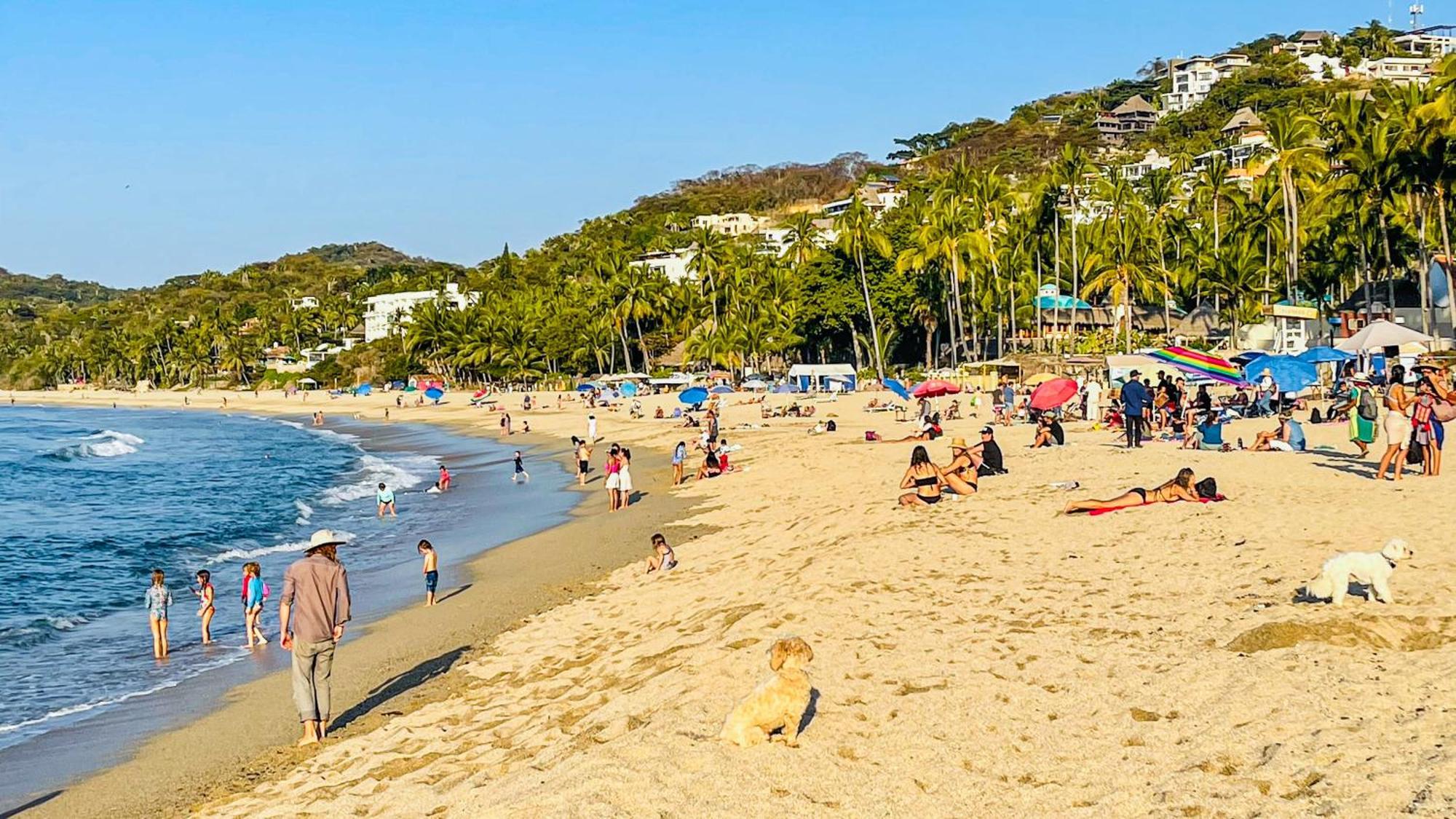 Stunning Brand New 1br In Paradise! W Pool! Sayulita