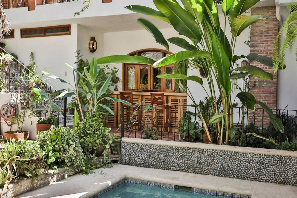 Apartment Casa Nainoa - With Pool & Rooftop Palapa
