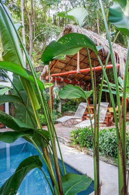 Casa Nainoa - With Pool & Rooftop Palapa Apartment Sayulita