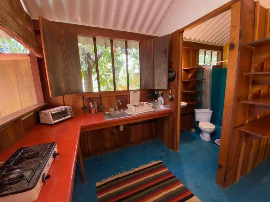 1bed *