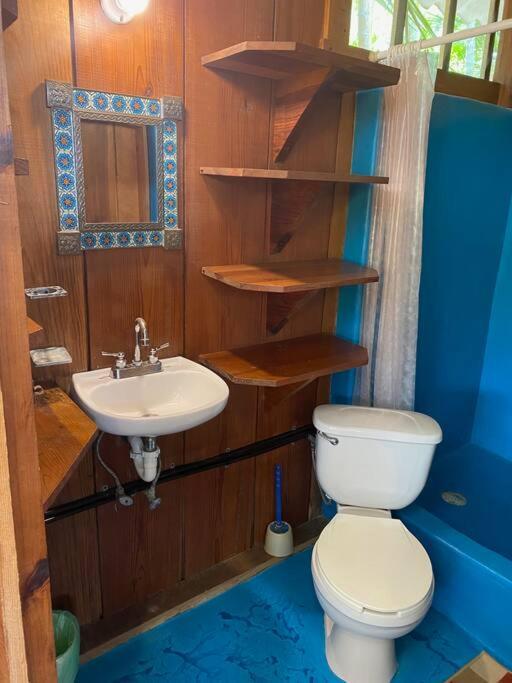 1bed Apartment