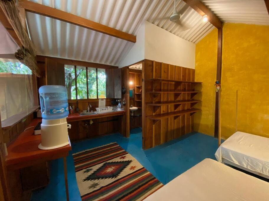 Apartment 1bed *