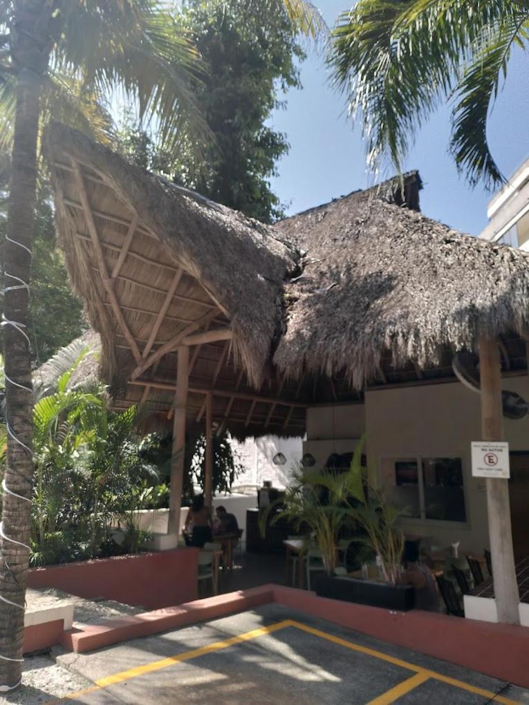 Dreamhaus Pajaro De Fuego