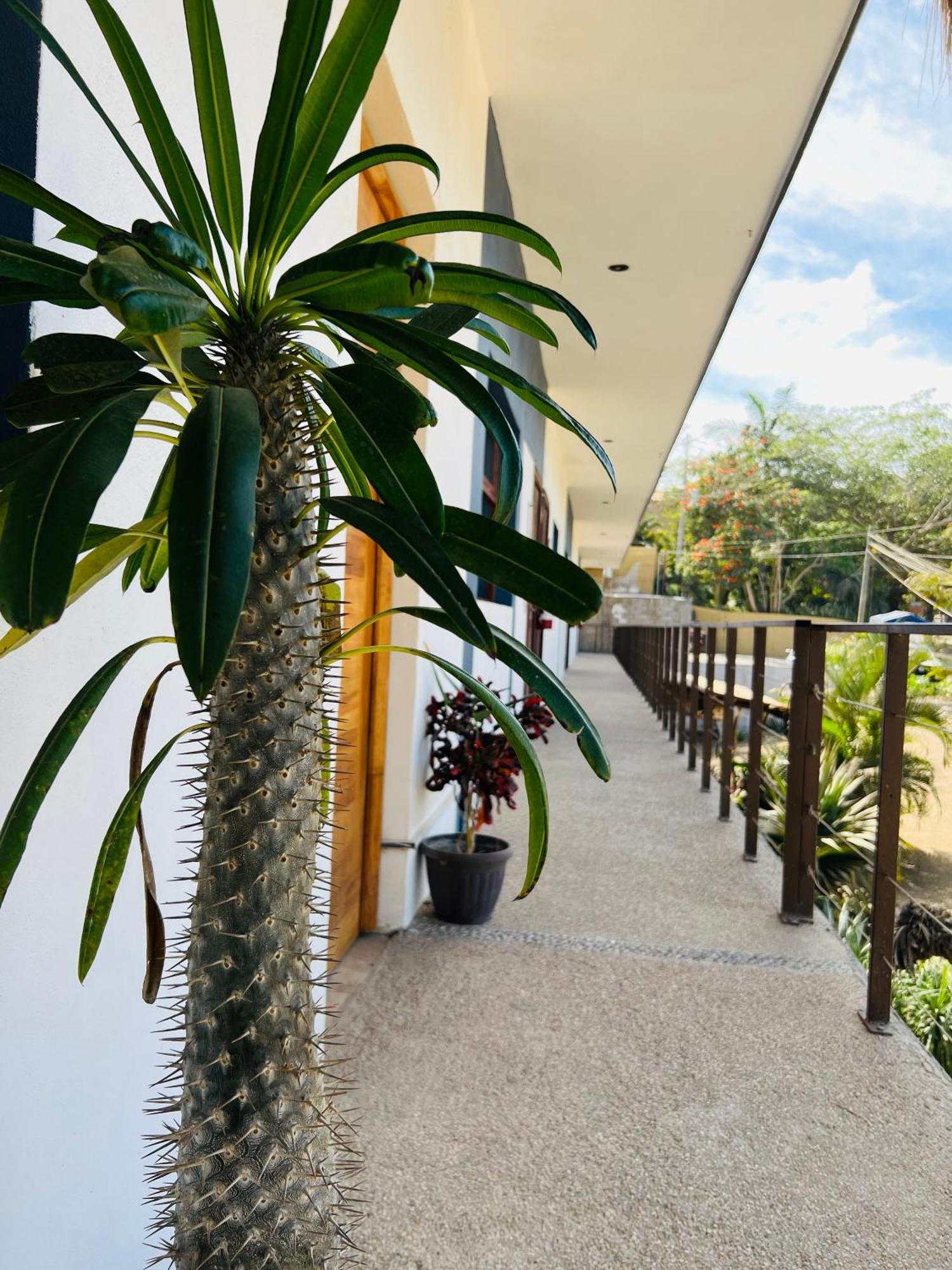 Hotel Samanu Sayulita