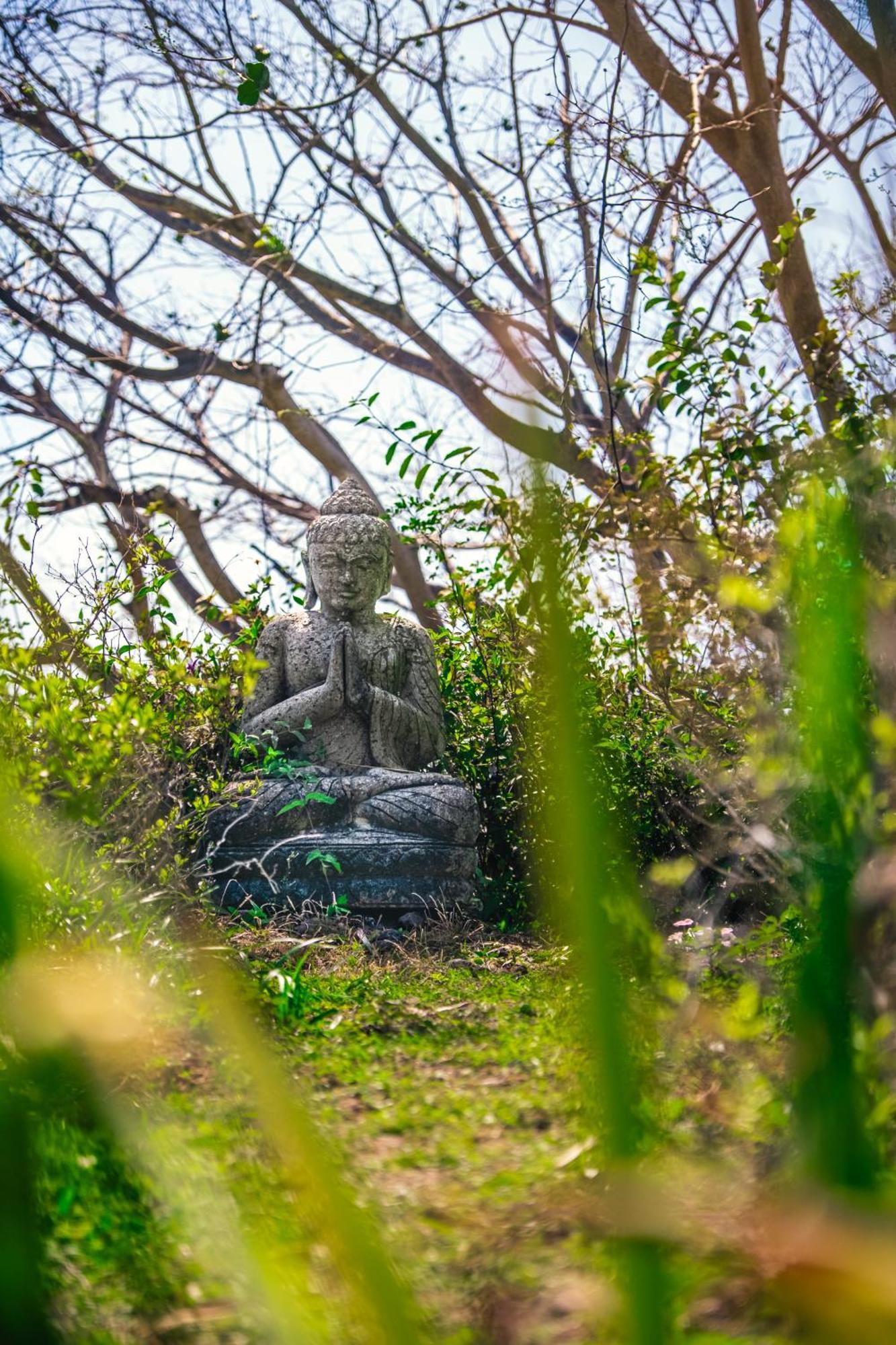 Hotel Haramara Retreat