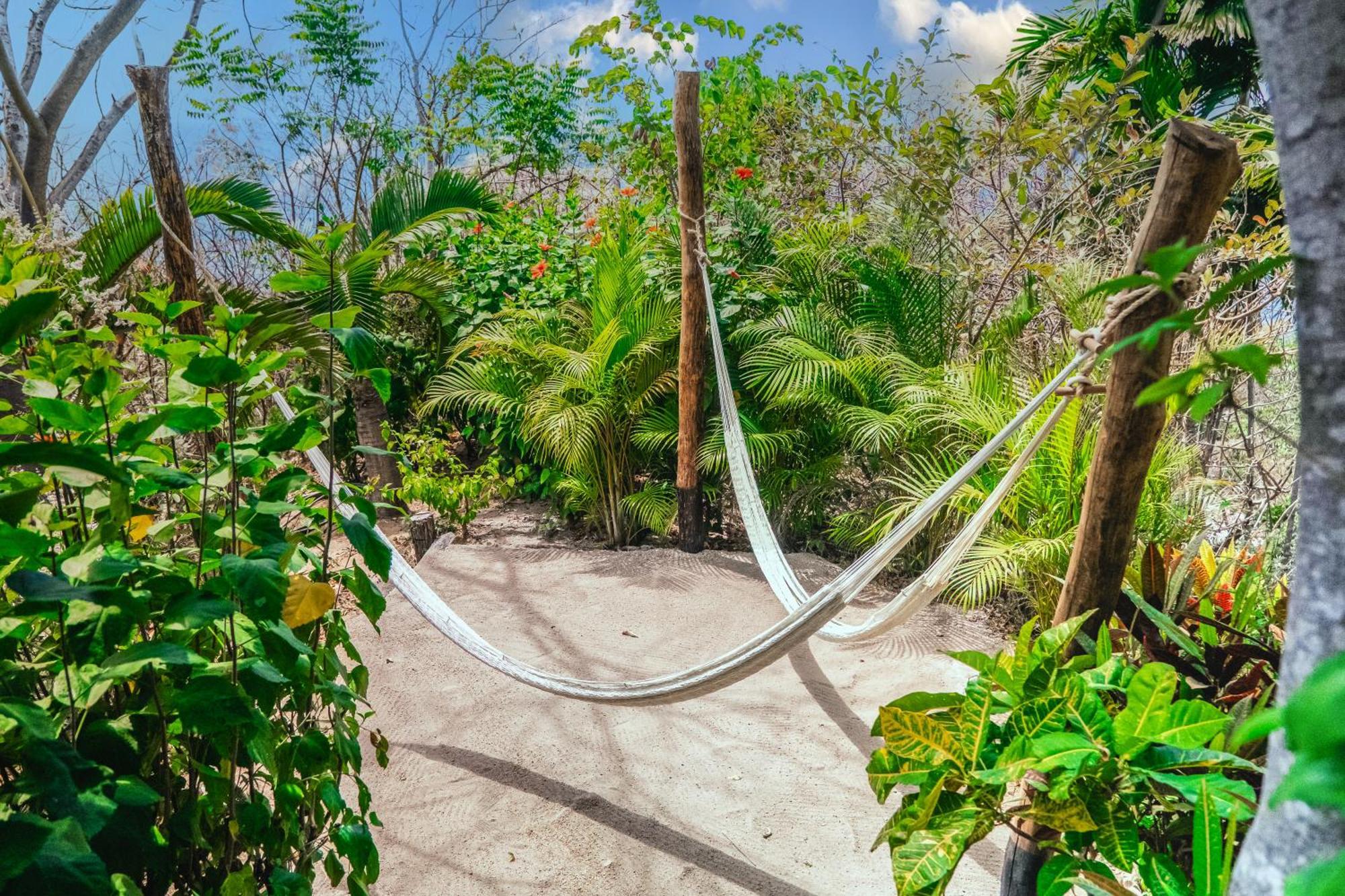 Haramara Retreat Sayulita