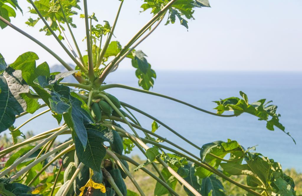 Casa Los Arcos Sayulita