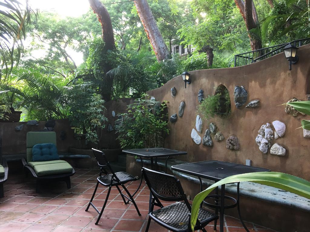 Iguana Verde * Sayulita