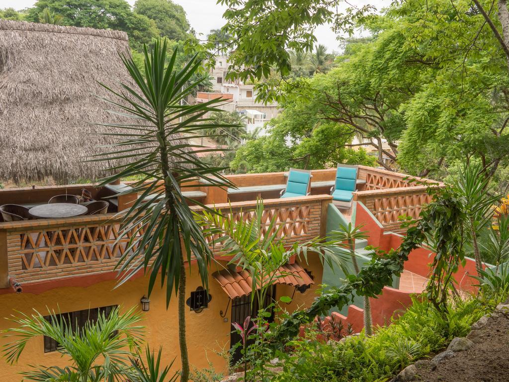 Iguana Verde * Sayulita