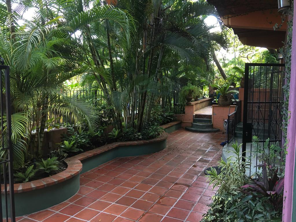 Iguana Verde Apartment Sayulita
