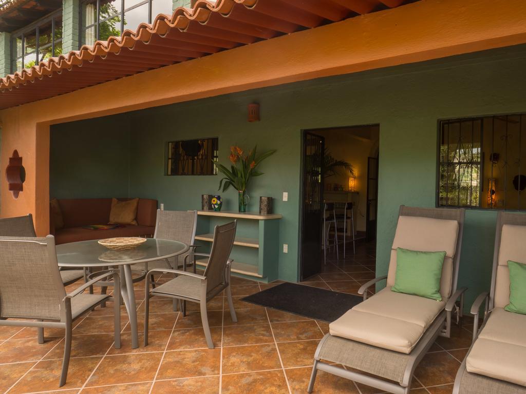 Iguana Verde *