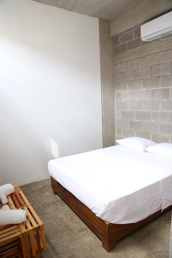 Hostel Tortuga
