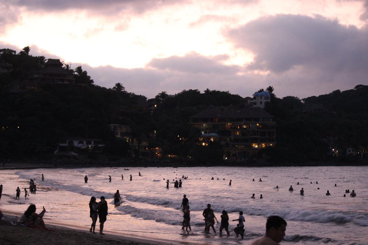 Hostel Tortuga