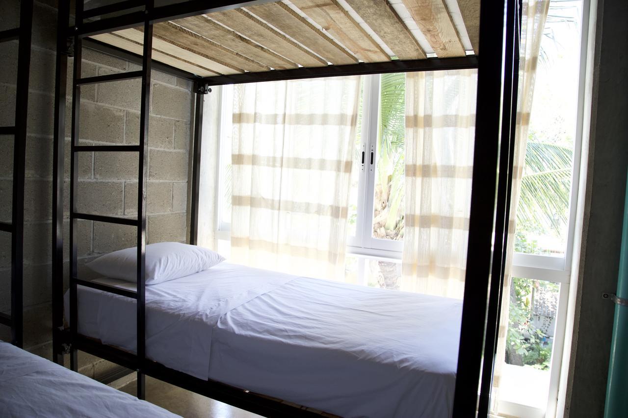 Tortuga Sayulita