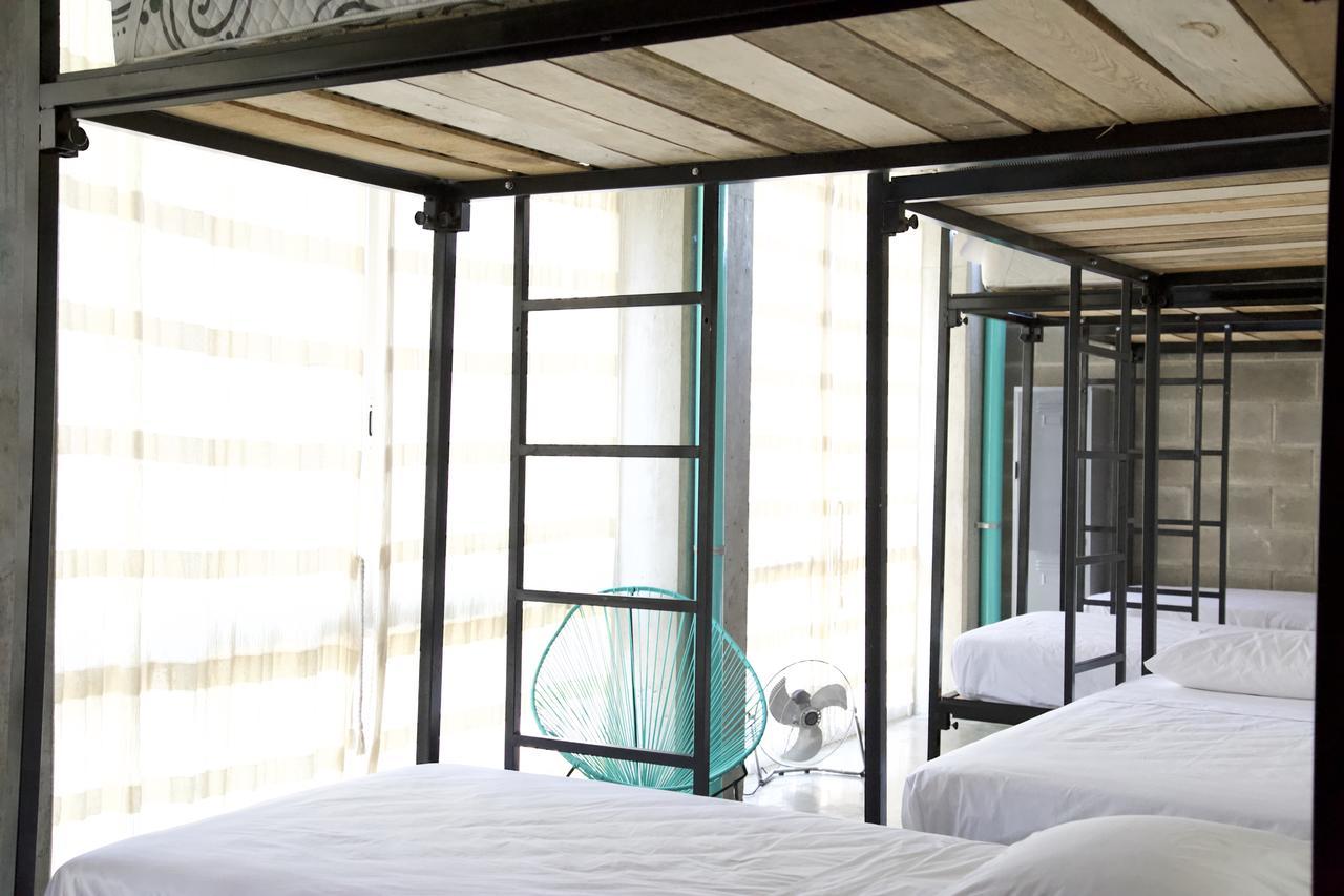 Hostel Tortuga