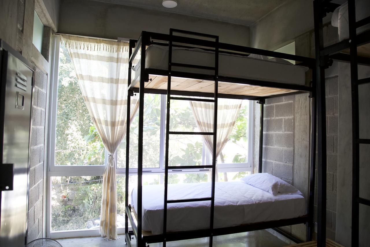 Tortuga Hostel *