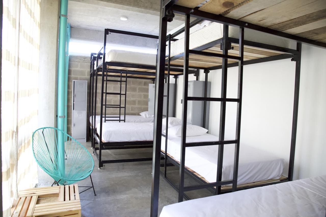 Tortuga Hostel *