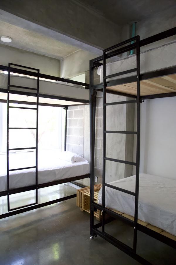 Hostal Tortuga *