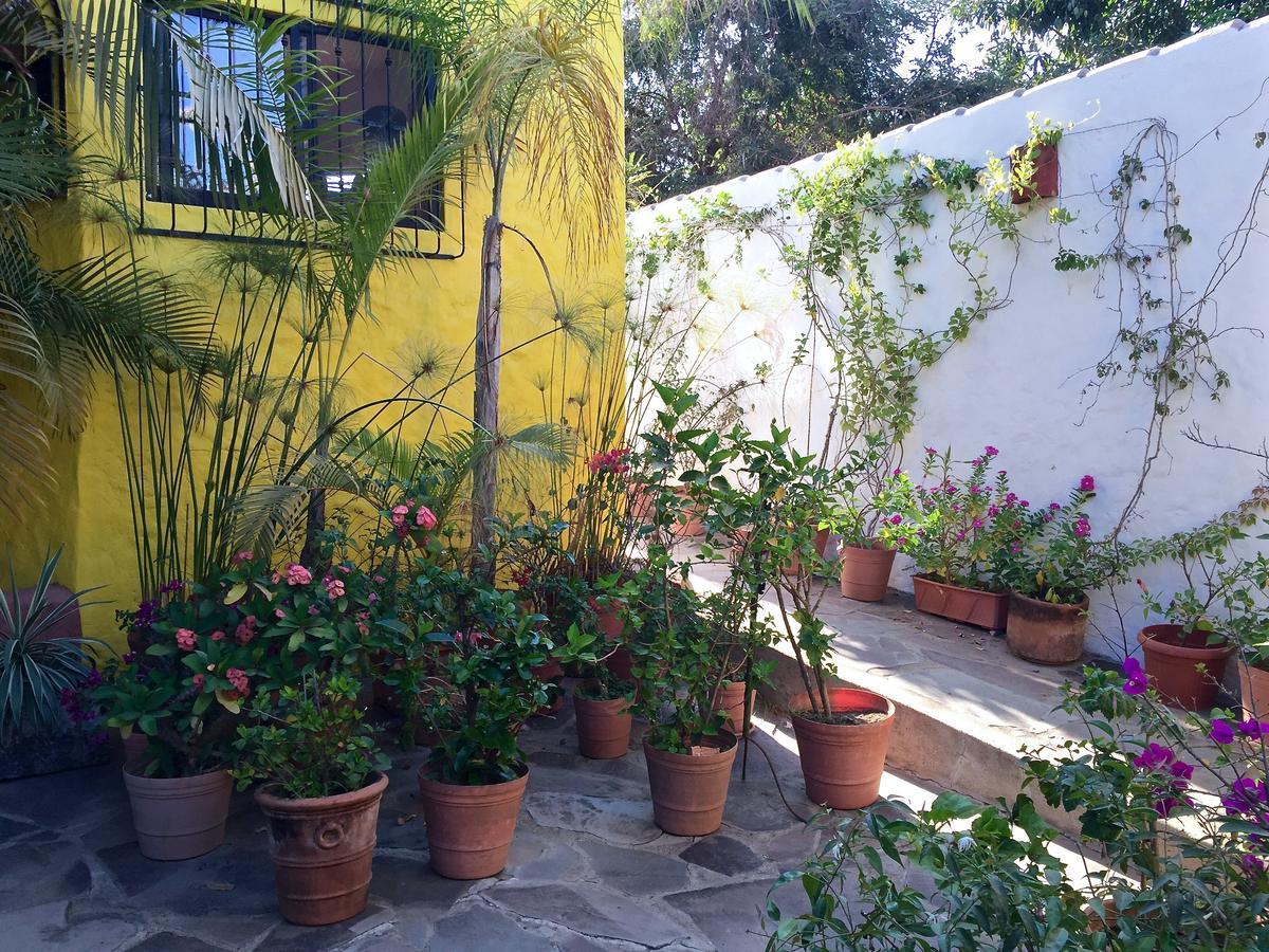 Suites Sayulita
