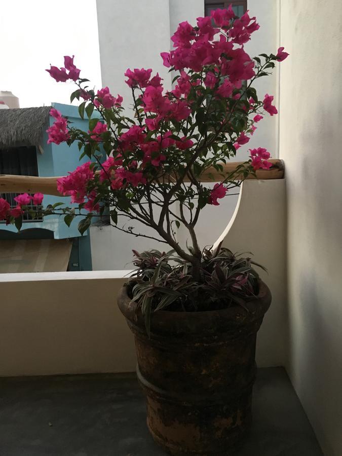 Casa Nayar