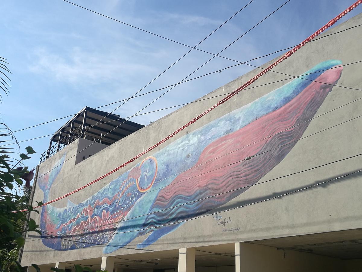 Casa De La Ballena Sayulita
