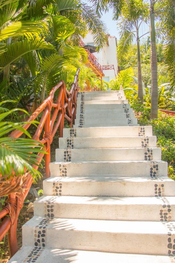 The Phoenix Sayulita