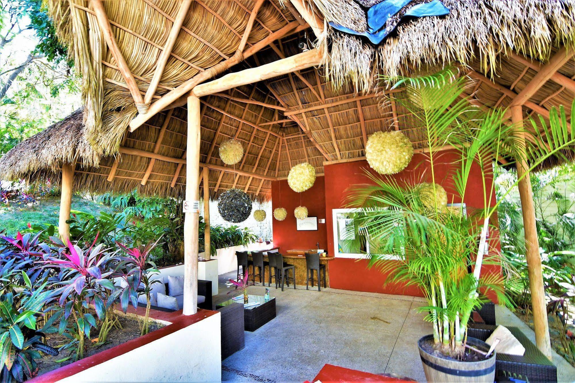 The Phoenix 3* Sayulita