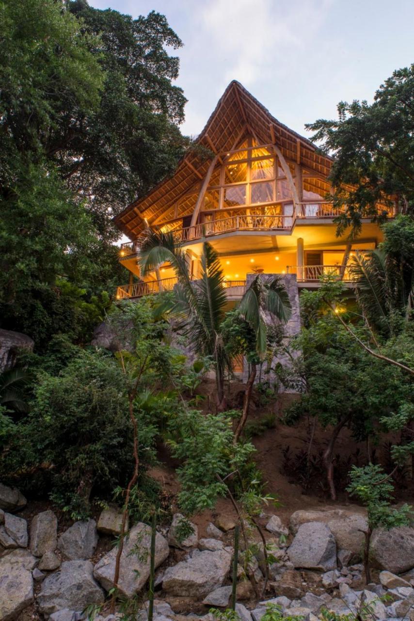 The Tree House In Punta * Sayulita