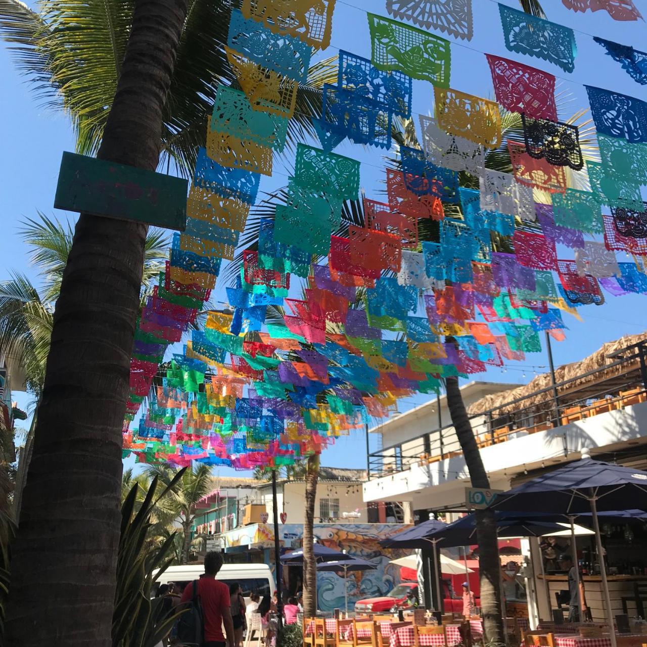 Hostel Tortuga