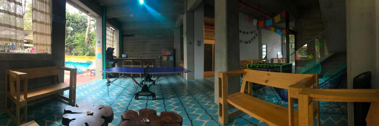 Tortuga Hostal Sayulita