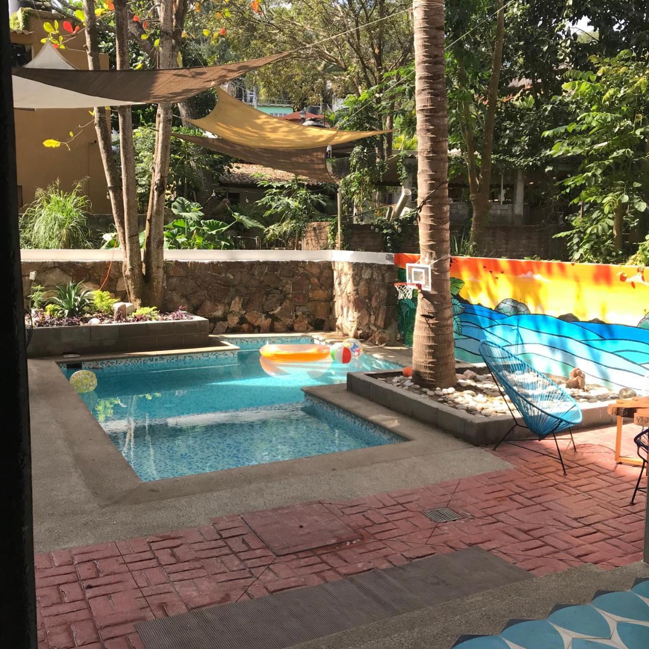 Hostel Tortuga *