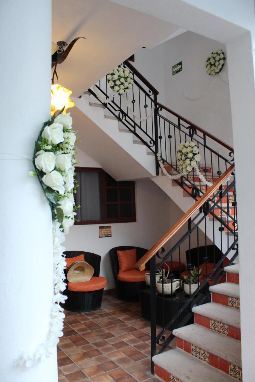 Hotel Amalia