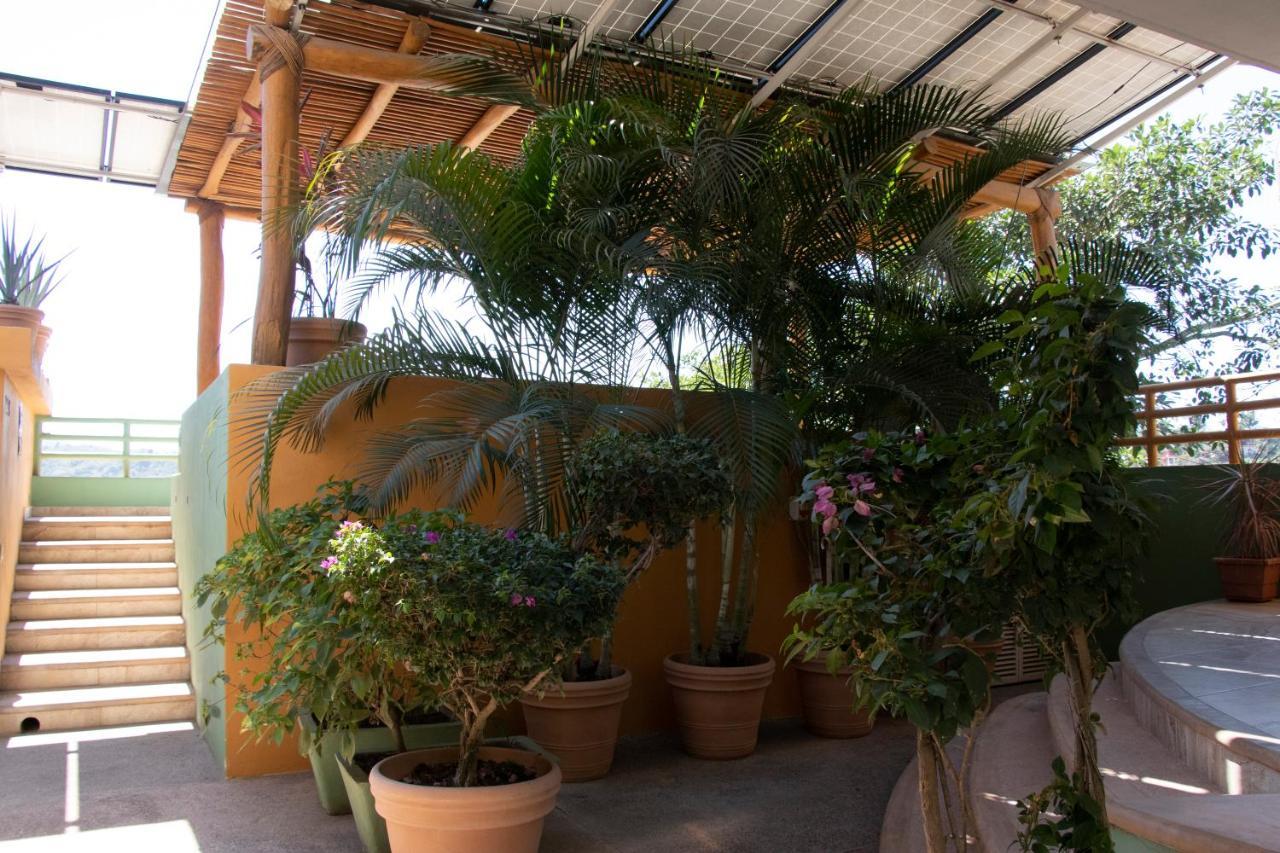 Hotel Mboutique Sayulita