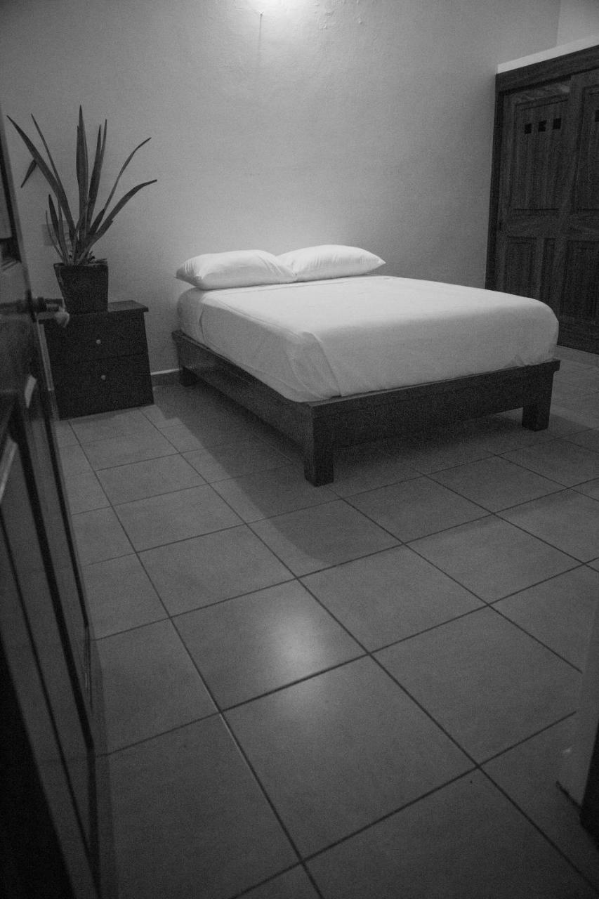 Hostel Lush