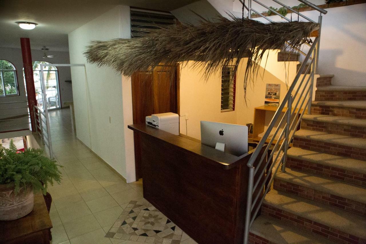 Hostel Lush *