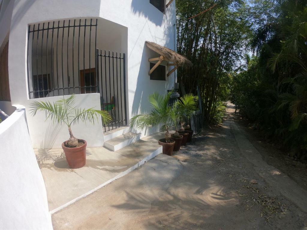Mar Y Suenos Sayulita