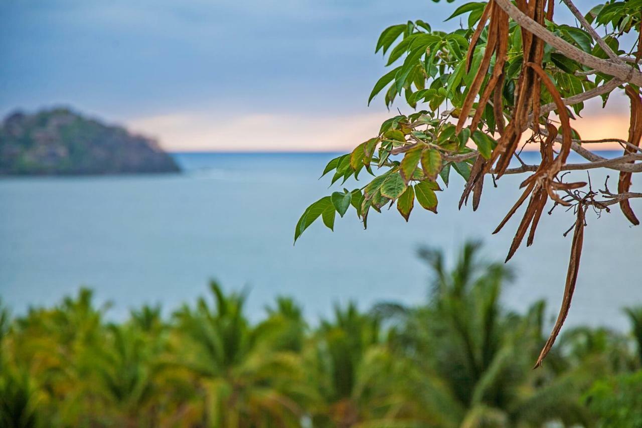 Colima Sayulita