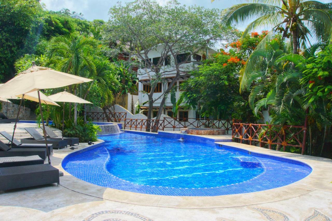 Hermoso Con Piscina/roofgarden/ac/ En Sayulita. Sayulita