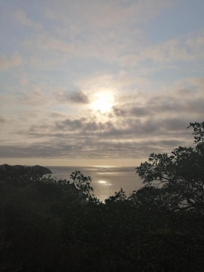 Bom Dia * Sayulita
