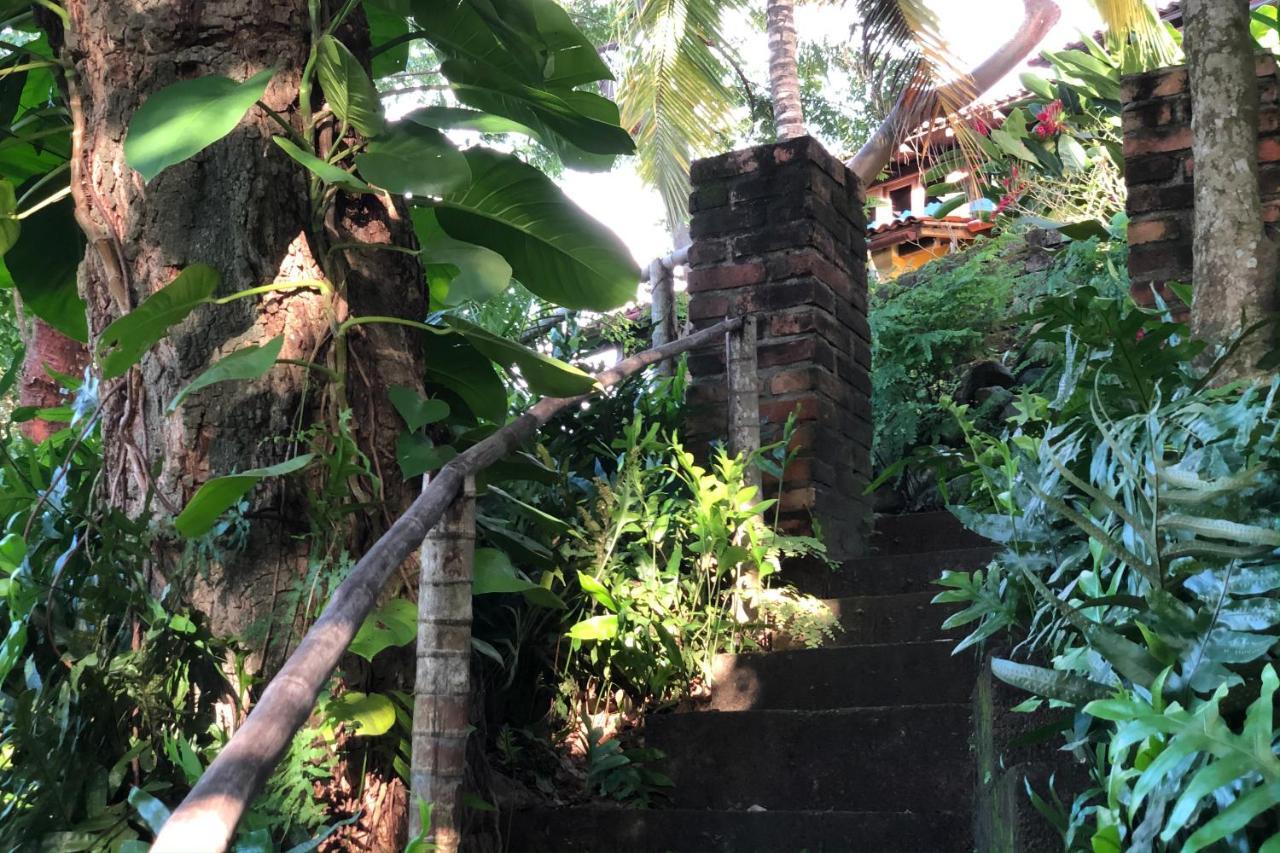 Apartamento Iguana Verde