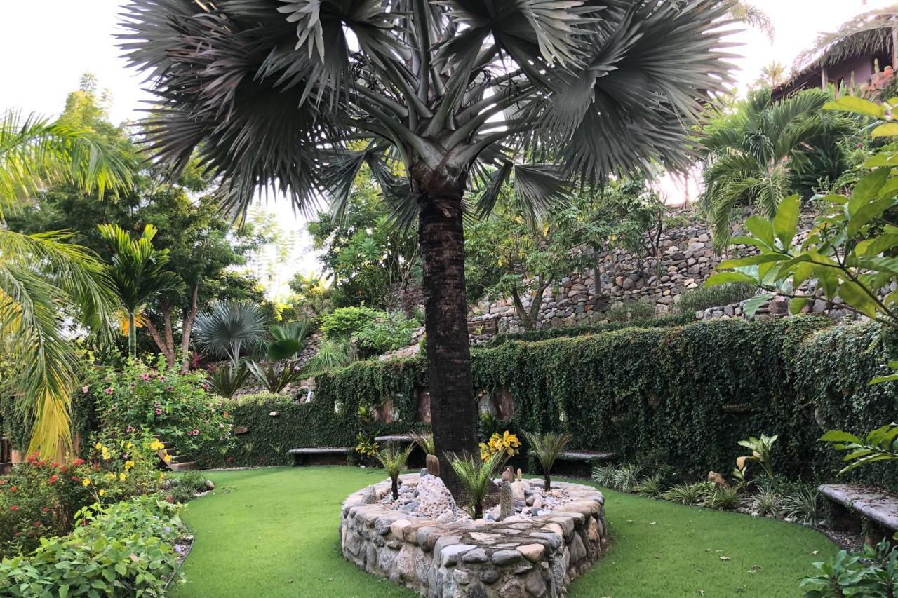 Iguana Verde Apartment